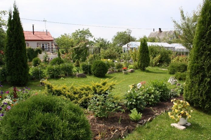 Parterre de fleurs et thuyas