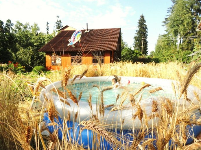 Piscine dans le champ