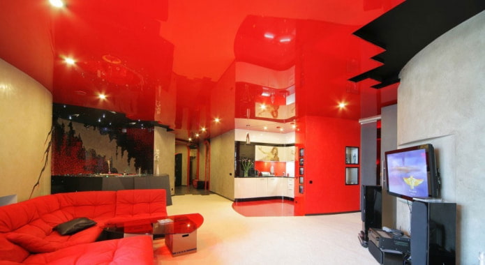 plafond avec inserts noirs