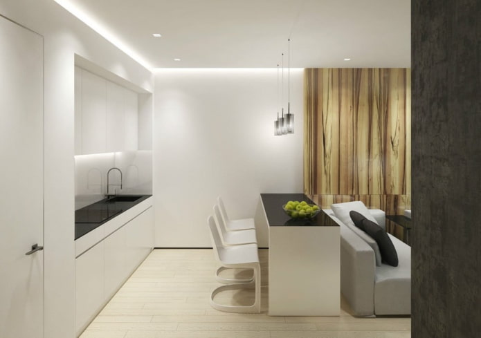 intérieur d'une cuisine-salon de 15 mètres carrés dans un style minimaliste