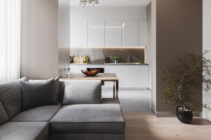 Intérieur cuisine-salon minimaliste