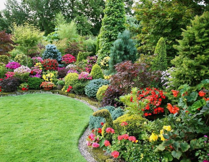 Groupe de plantes multicolores