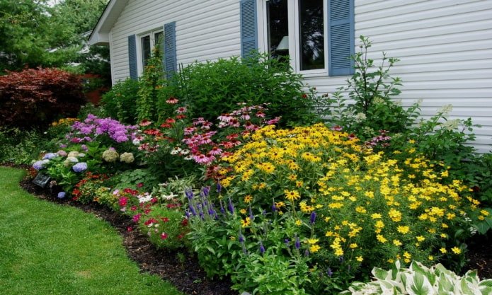 Parterre de fleurs à la datcha