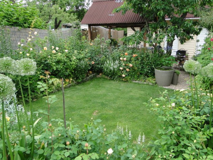 landscape design