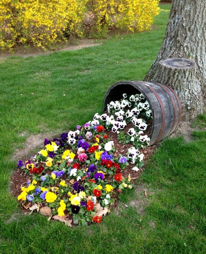 parterre de fleurs inhabituel sur le site