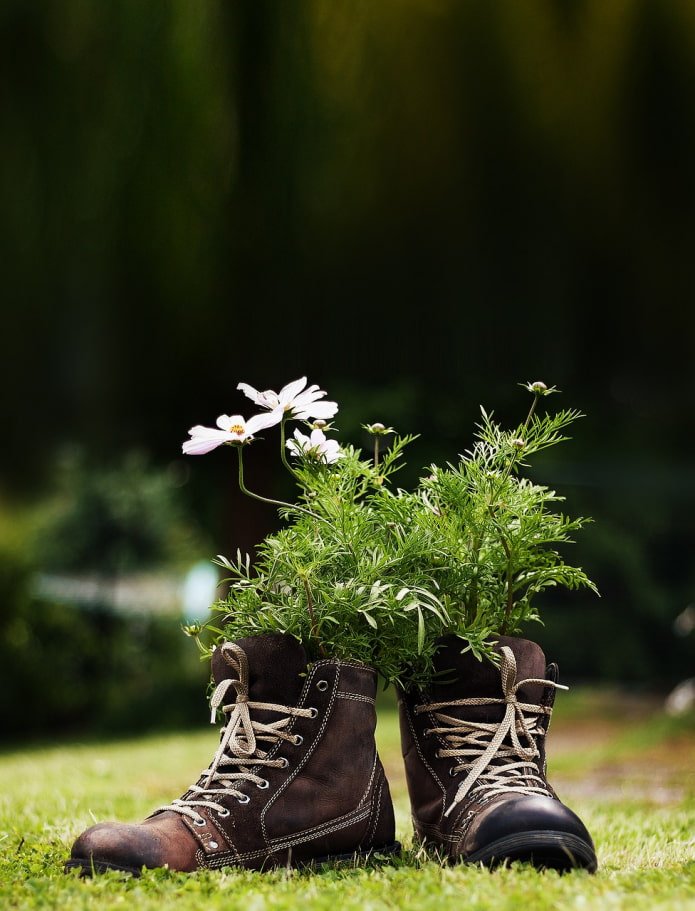 fleurs dans des bottes