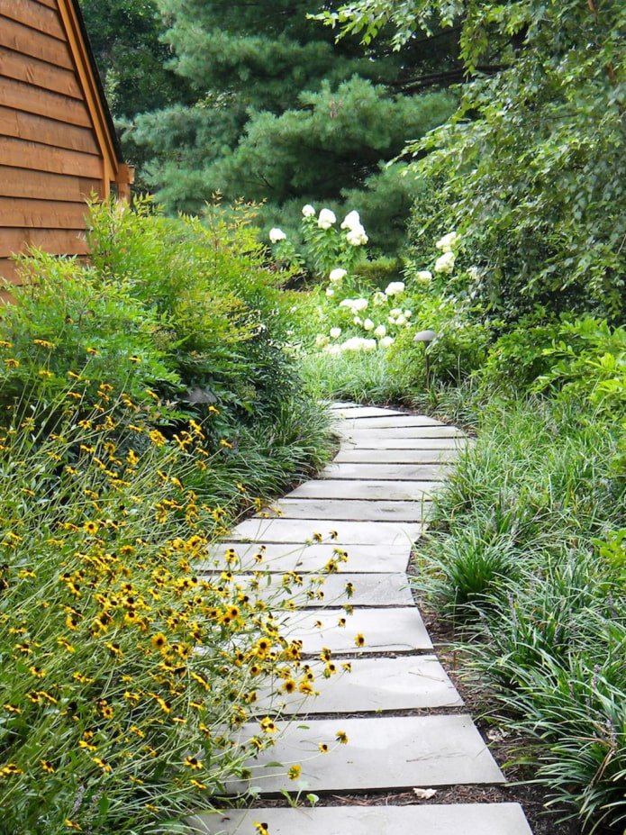 Winding Garden Path