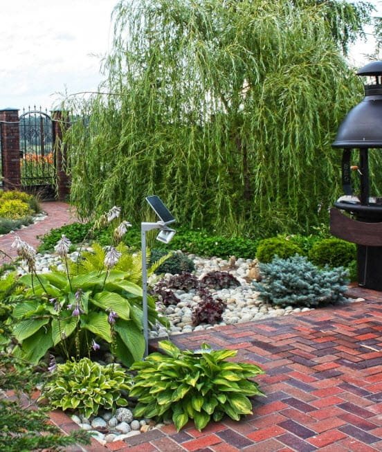 décorer un parterre de fleurs avec des pierres