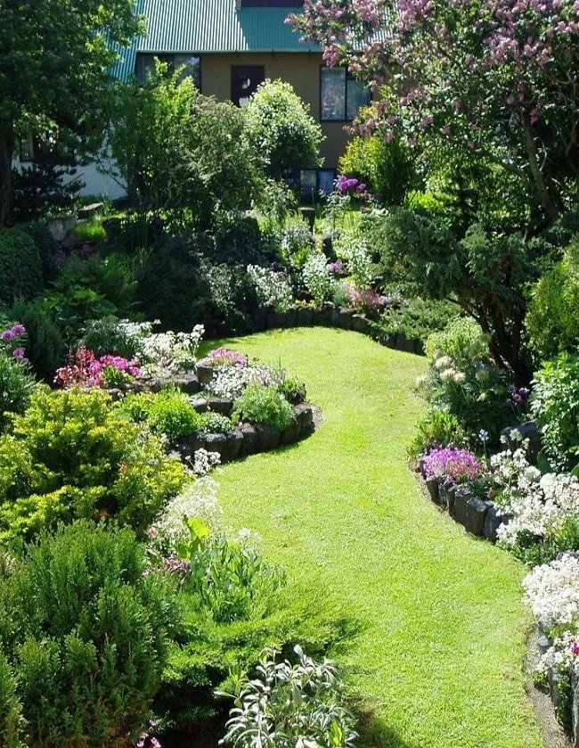 pelouse sur une prairie dans le jardin