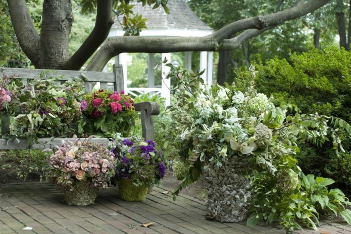 jardin fleuri dans le style provençal