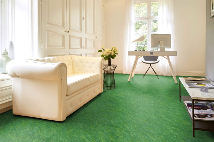 linoléum de teinte verte à l'intérieur