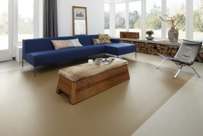 Linoléum bicolore à l'intérieur