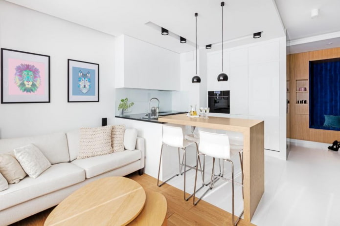 conception de petite cuisine-salon
