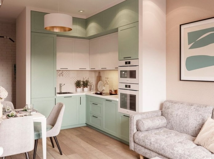 Appareils électroménagers à l'intérieur d'une petite cuisine-salon