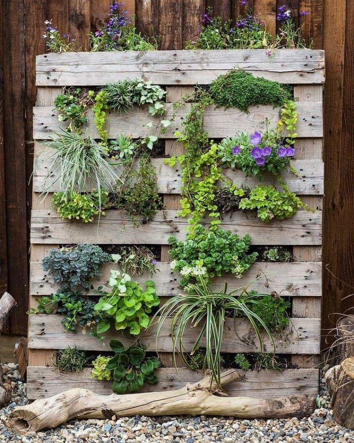 Jardin vertical