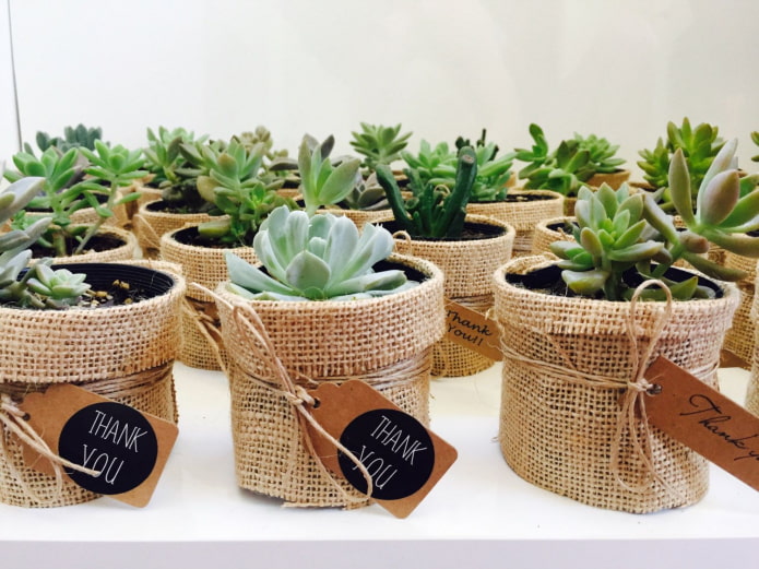pot de fleurs en tissu