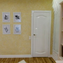 Portes intérieures : 60 photos et idées modernes - 4