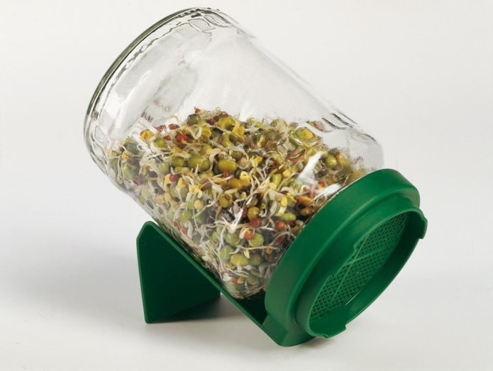 bocal pour la germination