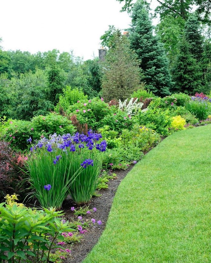 Parterre de fleurs à l'anglaise