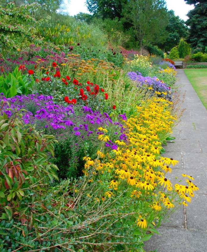 wildflower bed