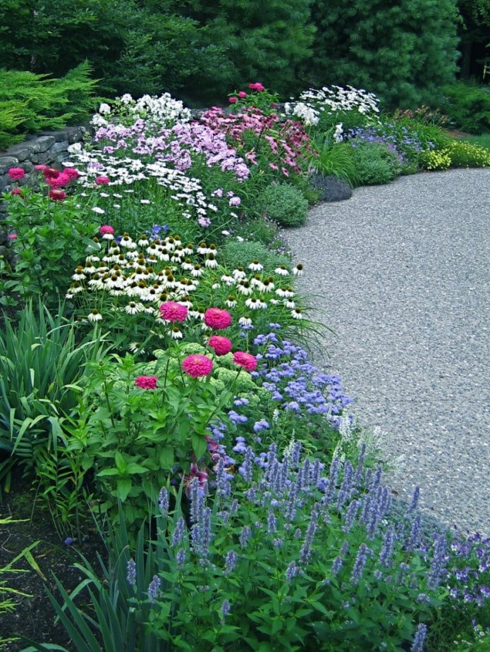 flower mixborder