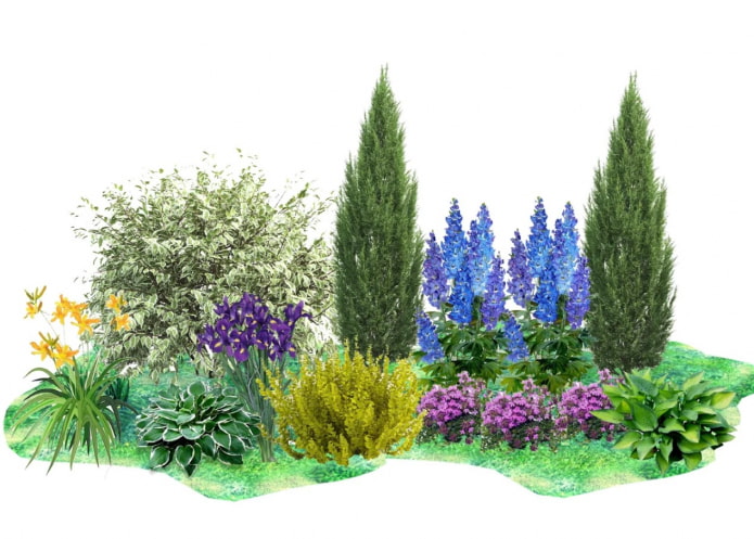 mixborder scheme