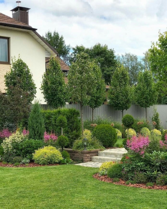 arbres dans un mixborder
