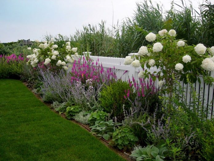 viorne dans un parterre de fleurs