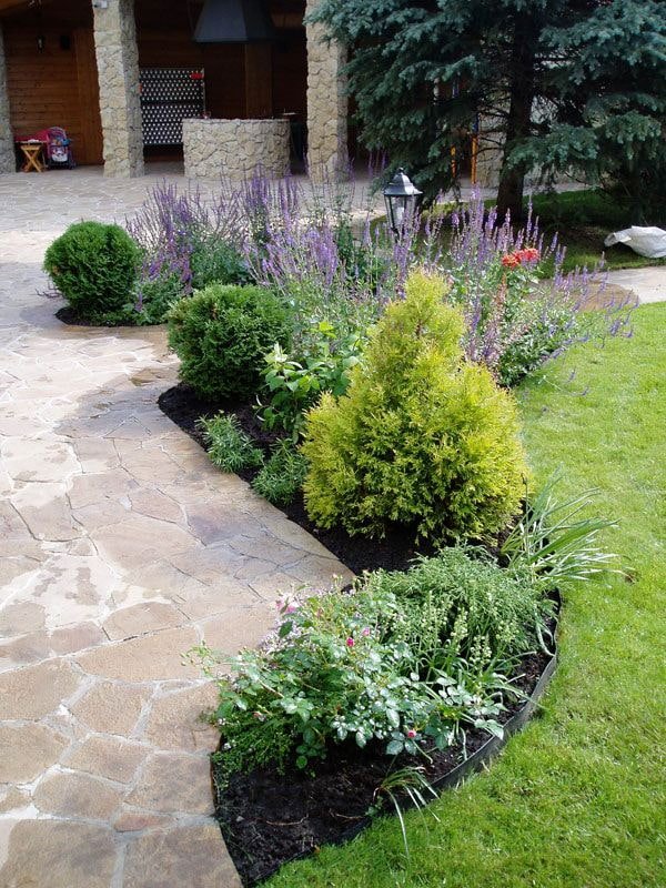 sapin miniature dans un parterre de fleurs