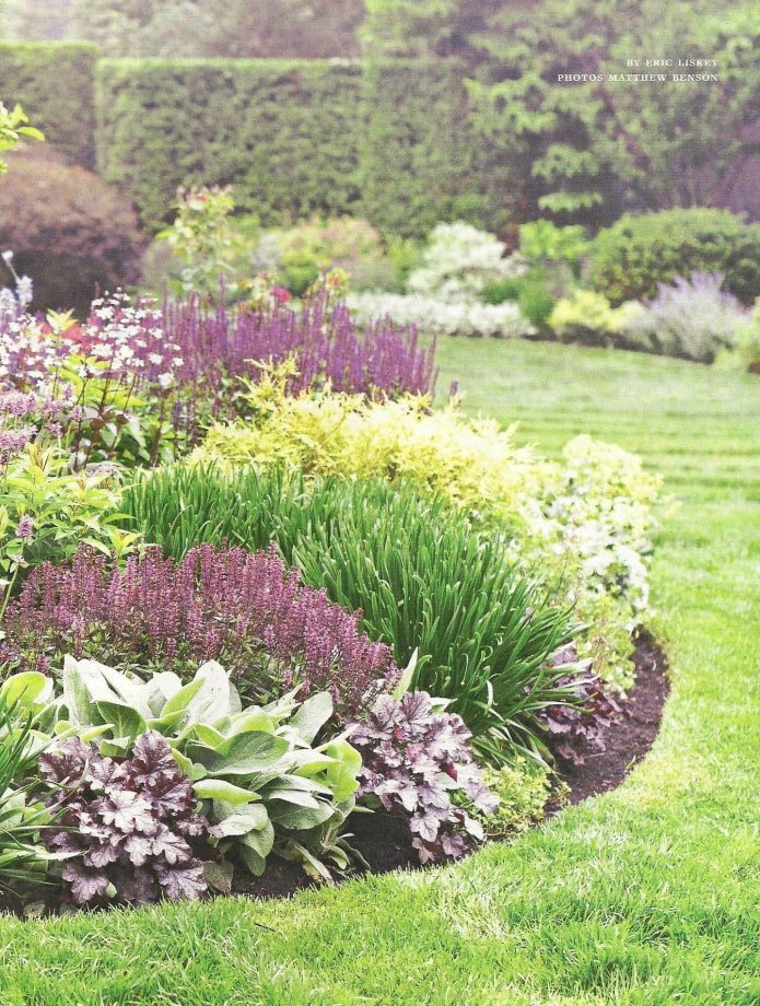plantes basses pour un mixborder