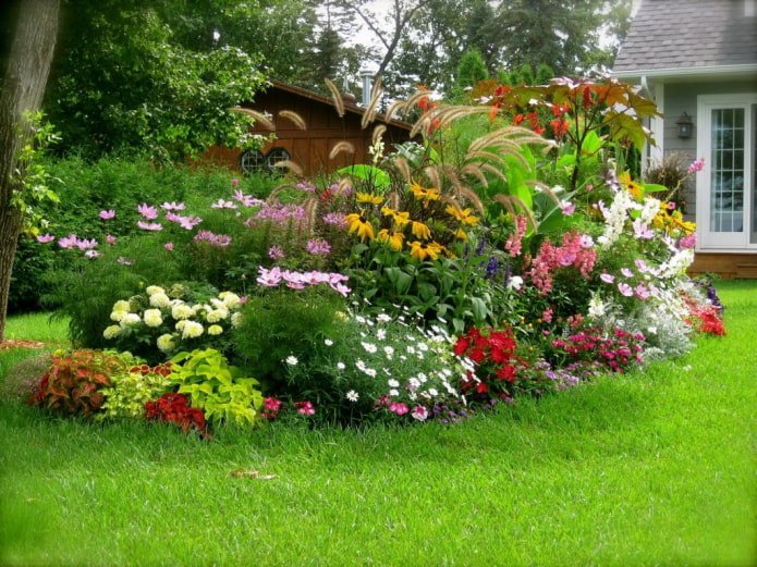 fleurs dans un mixborder