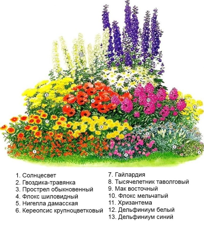flowers yellow in a flowerbed