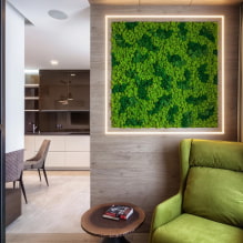 Mousse dans l'intérieur-1