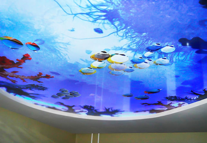 Plafond avec impression photo 3D imitant un aquarium