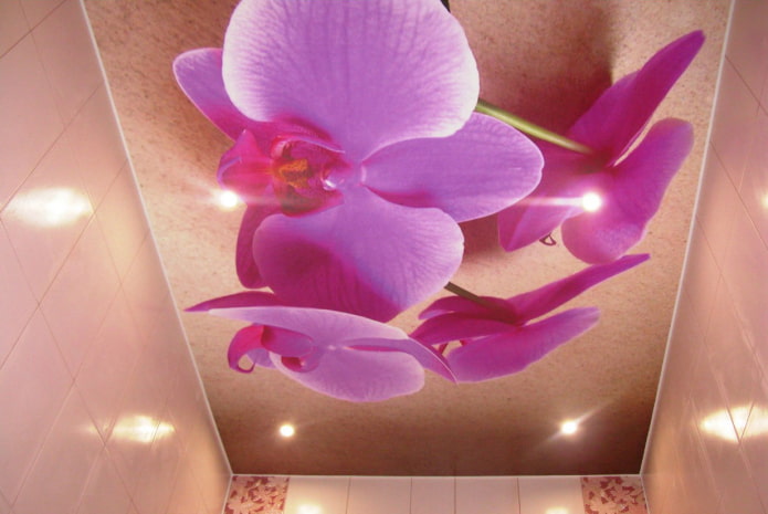 Plafond avec image d'orchidées