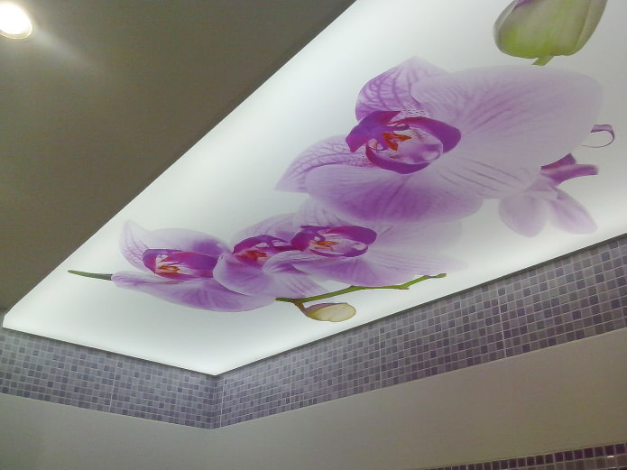 Plafond avec orchidées