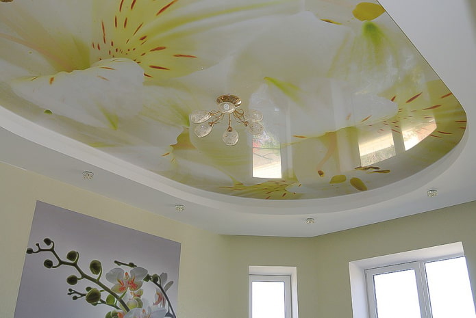Plafond avec fleurs