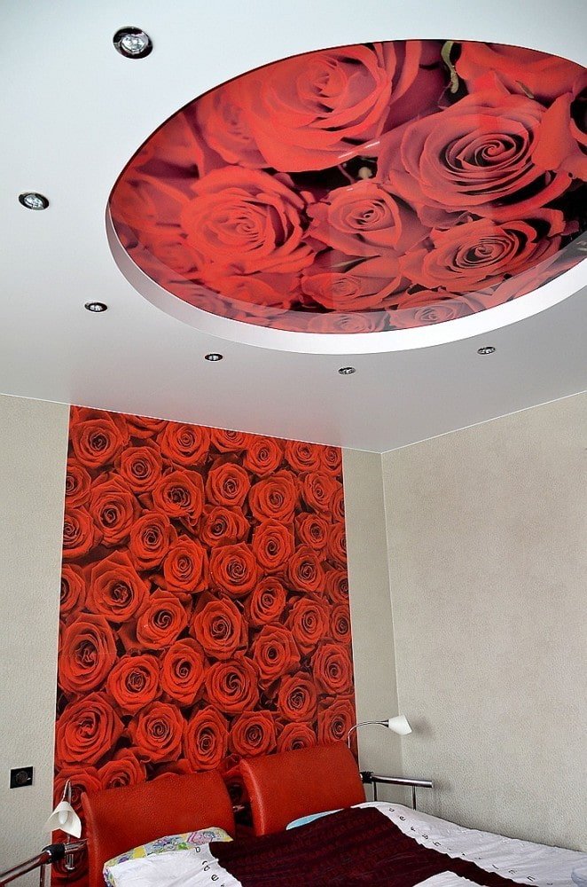 Plafond avec roses dans la chambre
