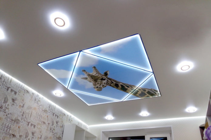 plafond avec une girafe