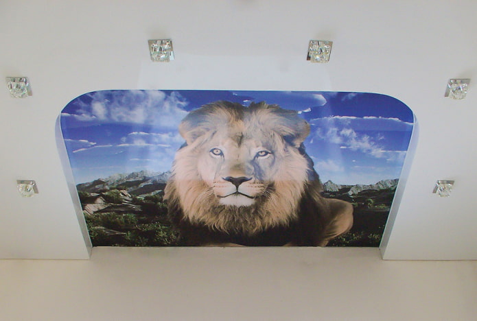plafond avec un lion