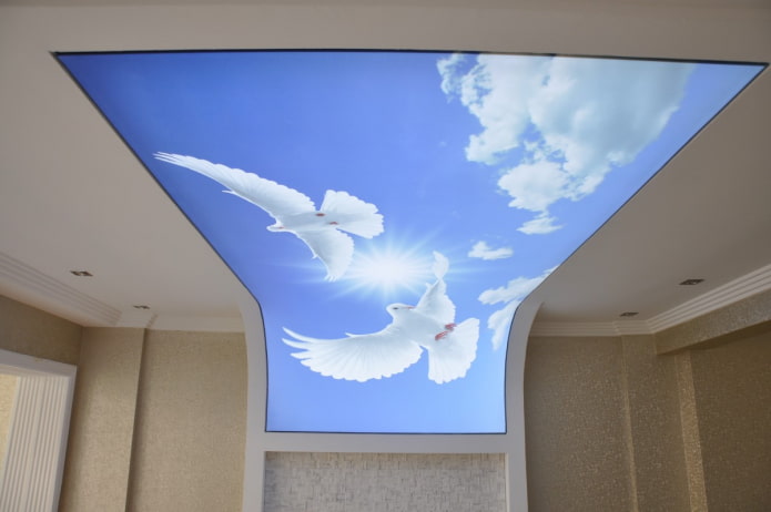 plafond pour augmenter l'espace