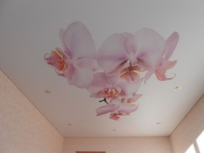 plafond tendu avec image d'orchidée