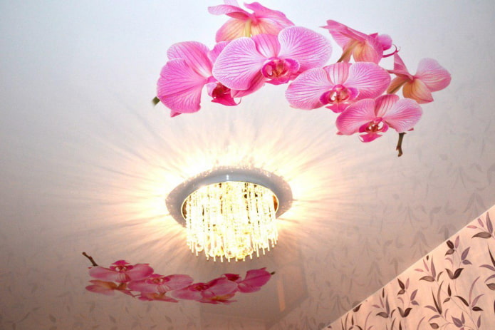 toile tendue avec image d'orchidée
