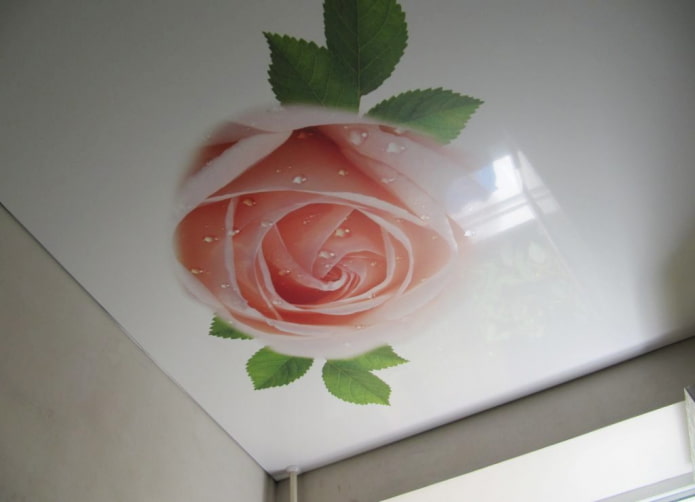 Tissu tendu avec impression photo en forme de rose