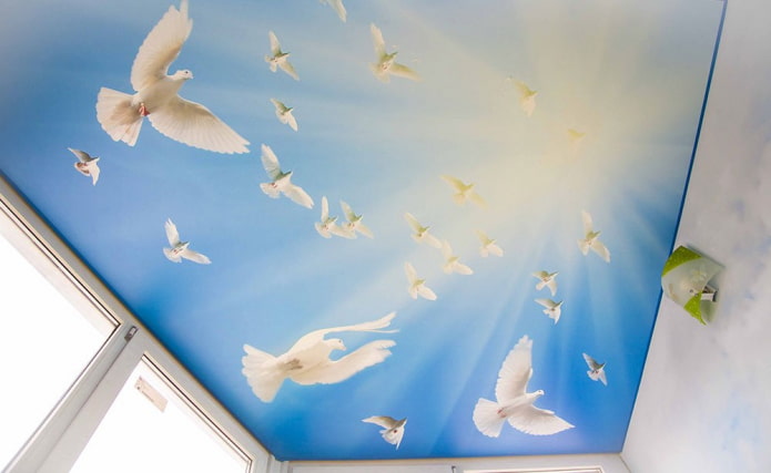 toile tendue avec image d'oiseaux