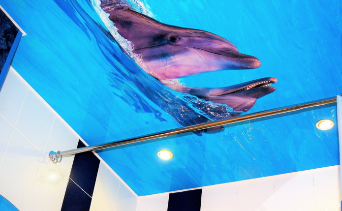 Toile tendue avec dauphins