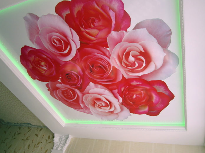 Tissu tendu avec impression photo en forme de rose