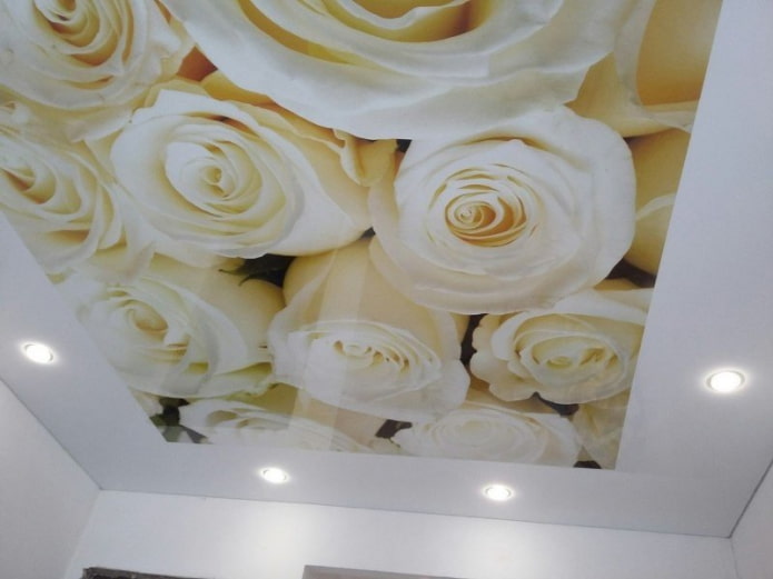 Tissu tendu avec impression photo en forme de rose