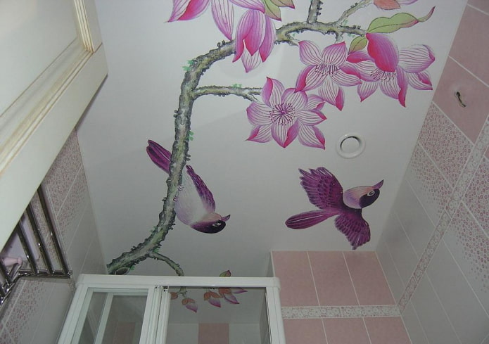 Plafond tendu mat avec impression photo