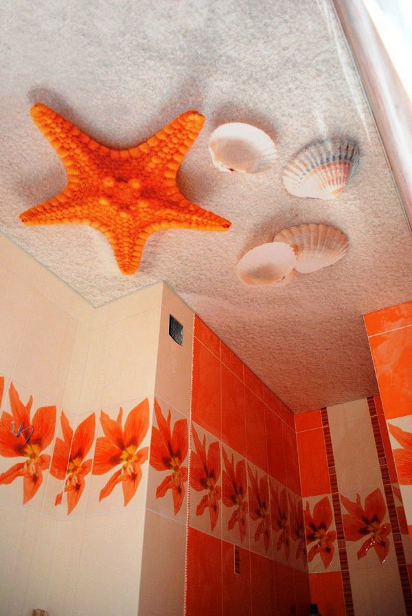 Image de plafond avec une plage dans la salle de bain